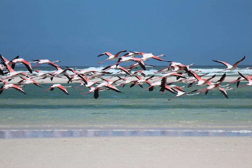A wide variety of ecosystems in the middle of the Mediterranean Sea