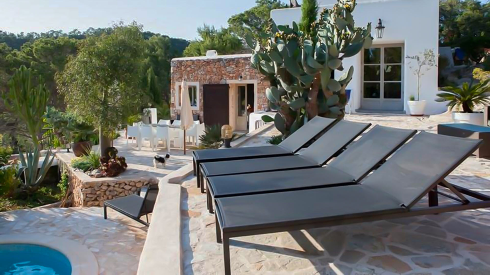 Villa Villa Salinas, Rental in Ibiza