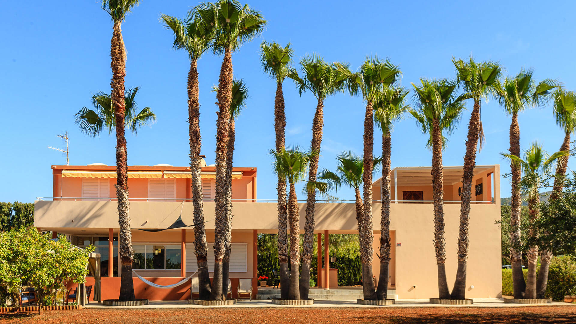 Villa Palm Trees, Location à Ibiza