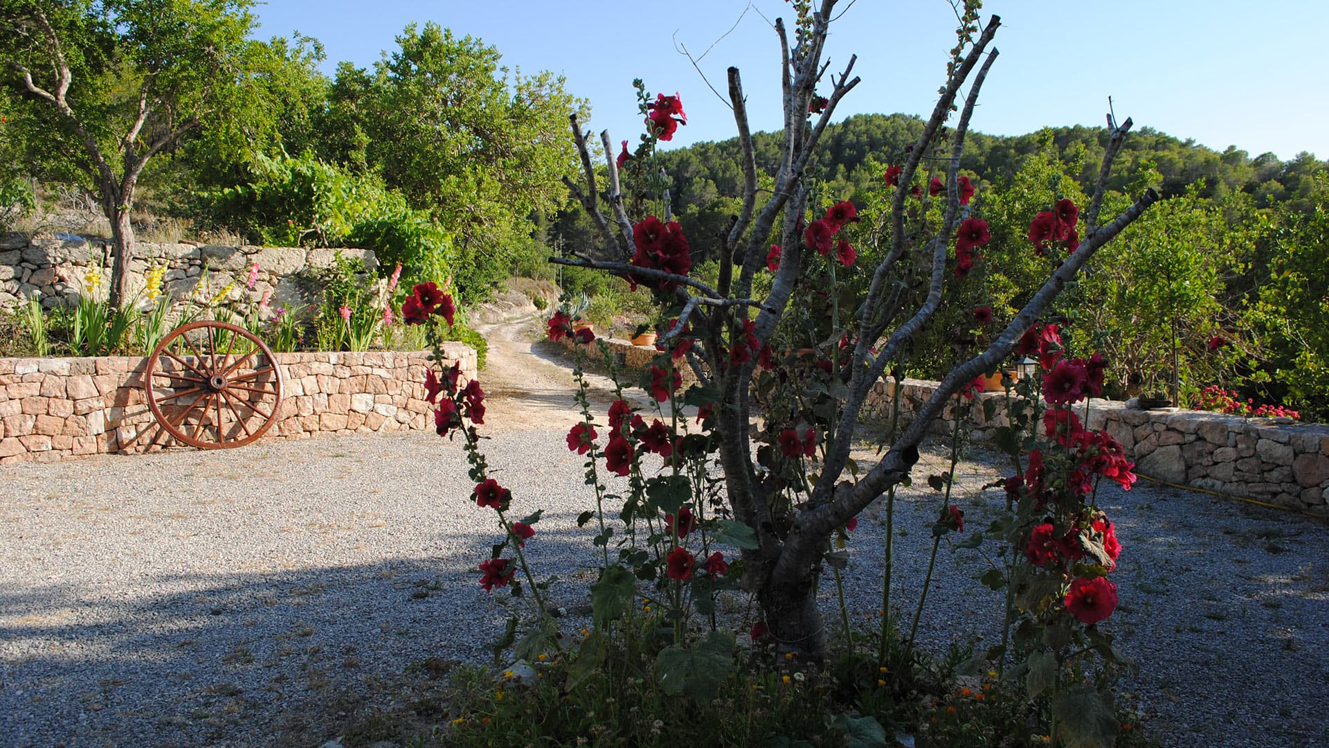 Villa Can Vella, Rental in Ibiza