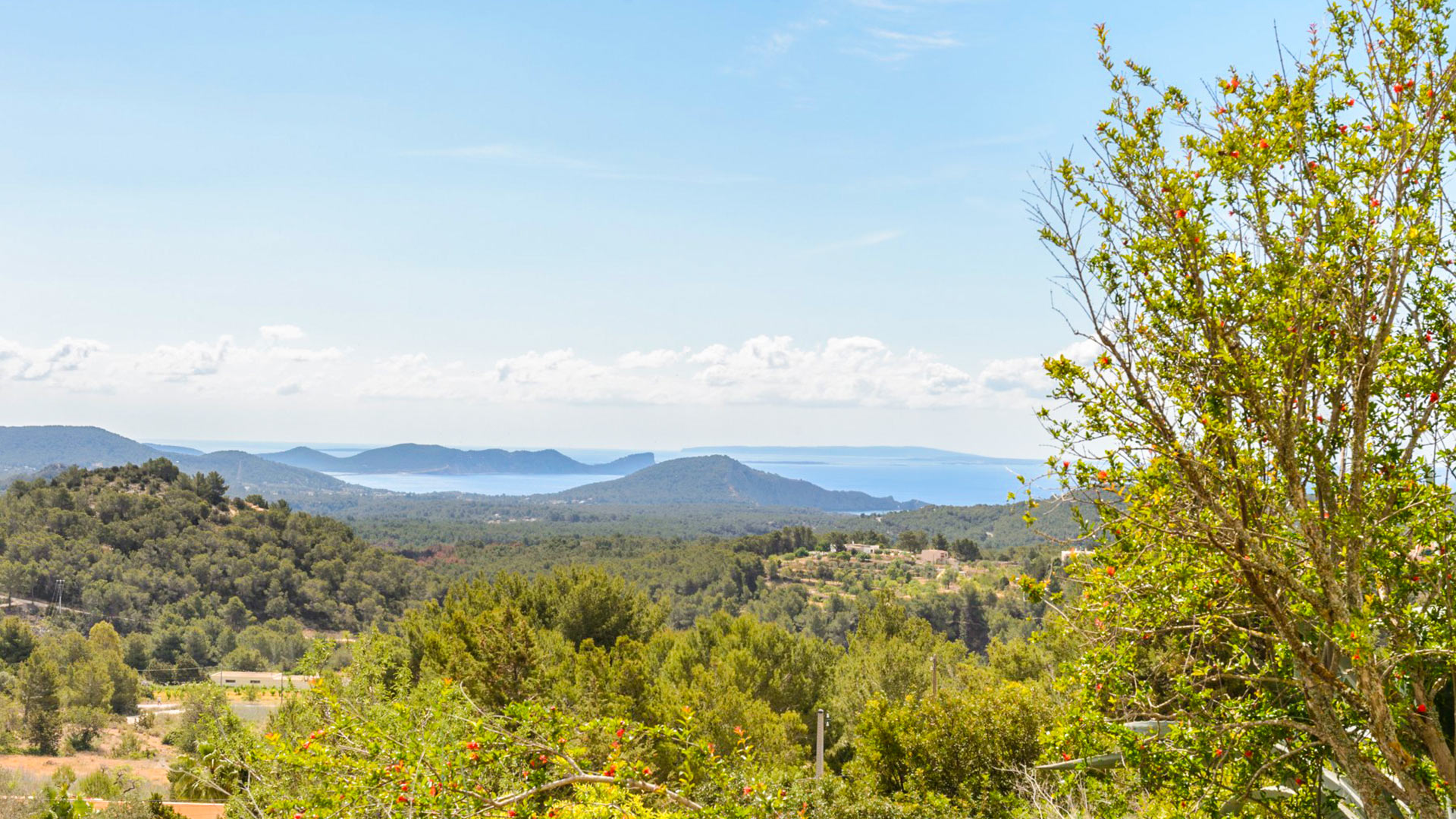 Villa Can Simon, Rental in Ibiza